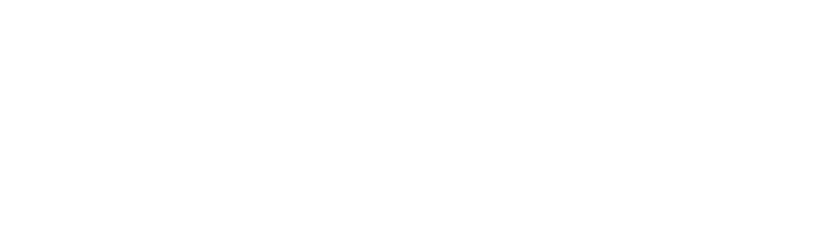 Morning Star Consulting